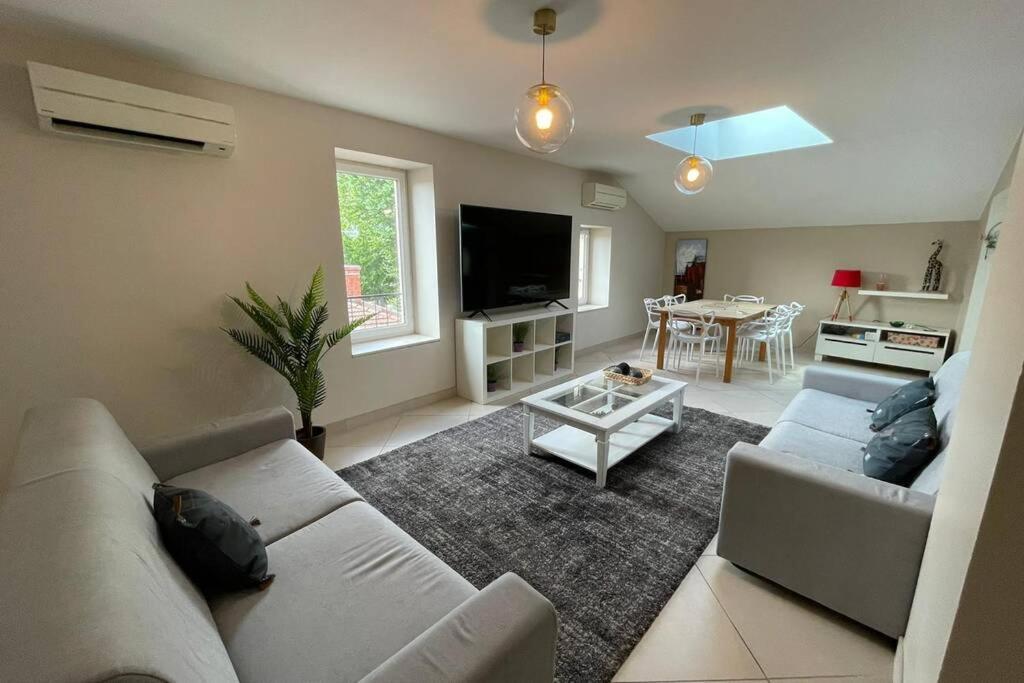 Superbe Appartement Avec 2 Chambres - 9 Personnes - Parking Prive تورنو-سور-رون المظهر الخارجي الصورة